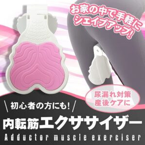 内転筋トレーニングセット 骨盤底筋 内転筋 トレーニングセット 太もも ヒップアップ 産後 筋トレ エクササイズ ゴムチューブ付属